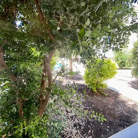 Poolside Two Bedroom In Location Paphos