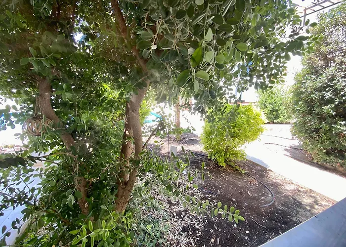 Poolside Two Bedroom In Location 파포스